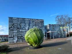 11102025 broeker (250)