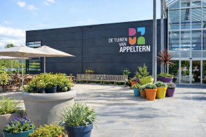 appelterm bewerkt 300