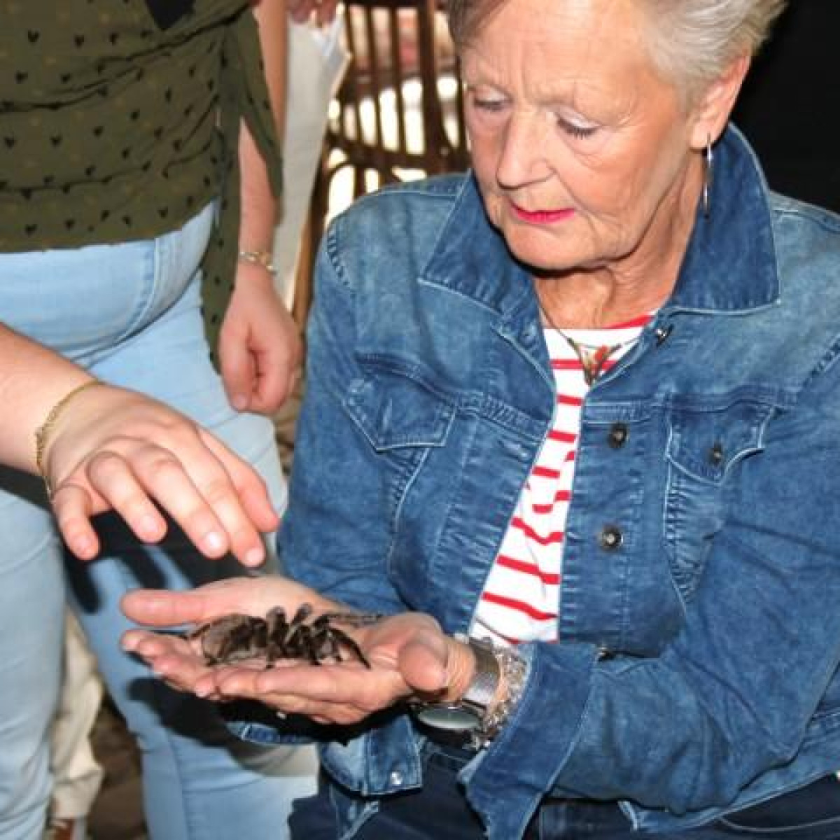 Woensdag 21 mei 2025 Bezoek aan Nationaal Monument Kamp Vught en Dierenpark de Oliemeulen te Tilburg