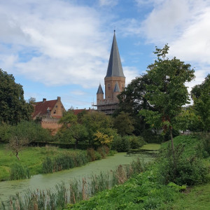 drogenaptoren  (1366)