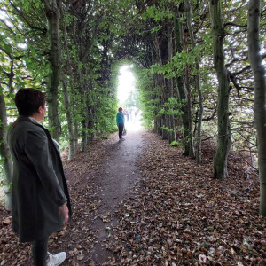 20230920_120542 (1366)