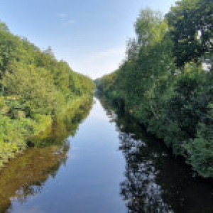 natuur_01
