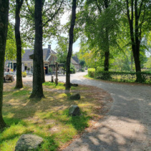 orvelte4_01