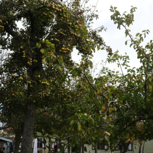 15-dsc07889-854.jpg