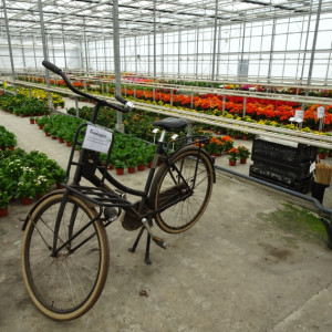 dsc08316-840.jpg
