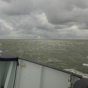 dsc08378-840.jpg